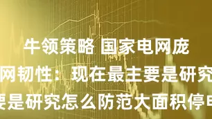牛领策略 国家电网庞骁刚谈电网韧性：现在最主要是研究怎么防范大面积停电事故