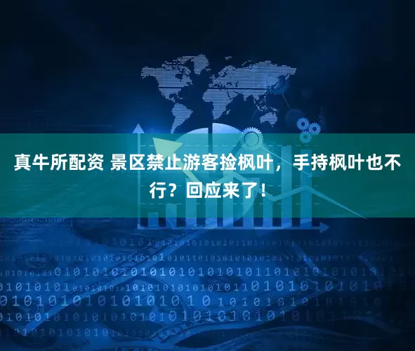 真牛所配资 景区禁止游客捡枫叶，手持枫叶也不行？回应来了！