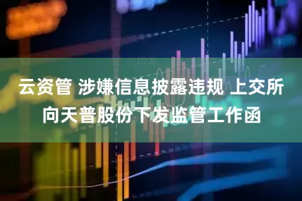 云资管 涉嫌信息披露违规 上交所向天普股份下发监管工作函