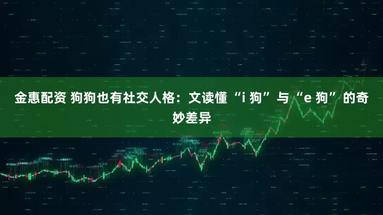 金惠配资 狗狗也有社交人格：文读懂 “i 狗” 与 “e 狗” 的奇妙差异